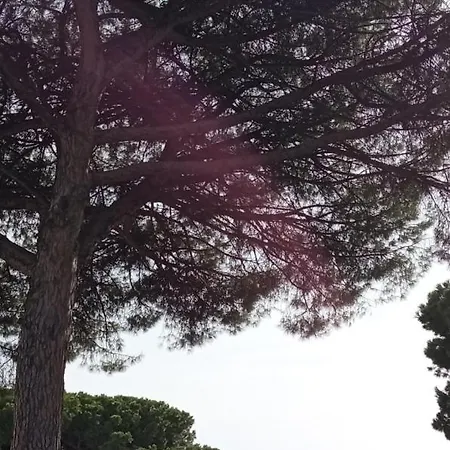 Vesuvio Casa De Charme Отель типа 