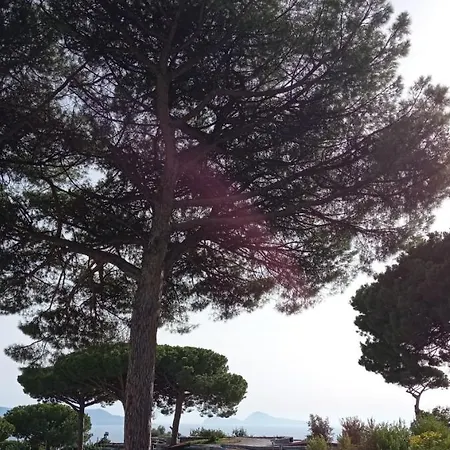 Vesuvio Casa De Charme
