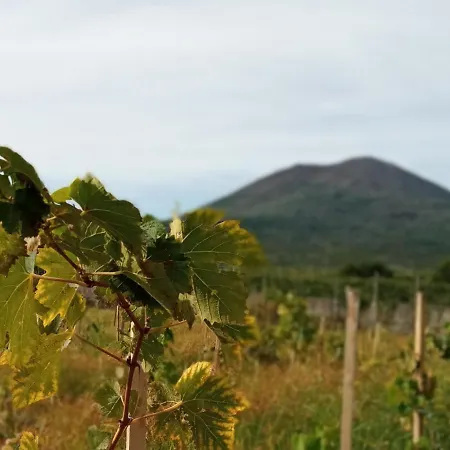 Vesuvio Casa De Charme Отель типа 